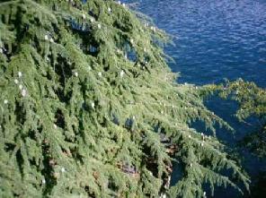 Xtrallusion photo gallery of Italy. Photos, pictures, images and photographs of the Italian Rivieras, the Italian Lakes, the Italian Alps, the Cinque Terre, the Amalfi coast and some of the most beautiful corners of Italy. Plus photos of Italian cities such as Pisa, Milan, Genoa and Rome.